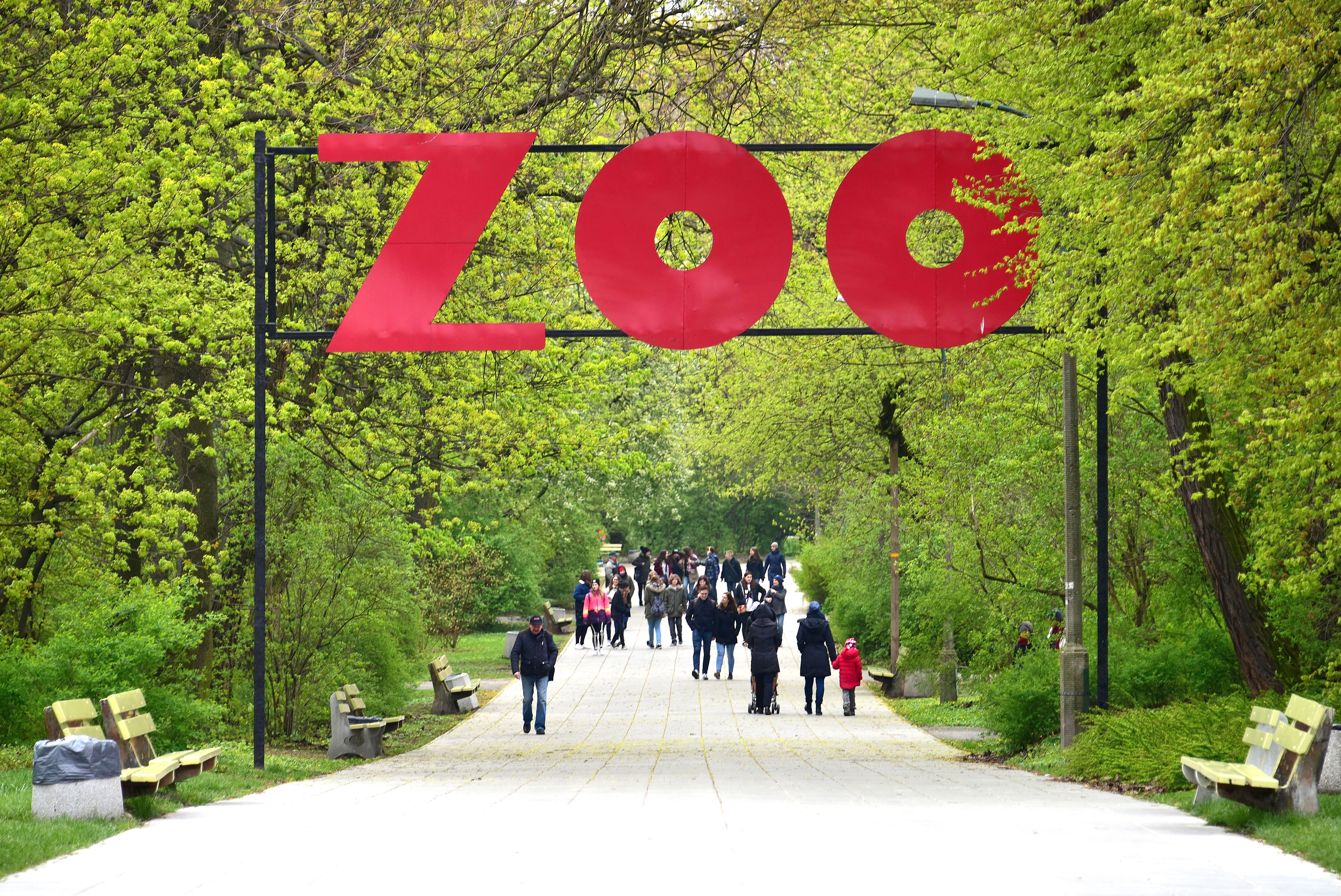 zoo_aleja_kazimierza_lisieckiego_dziadka_2017.jpg